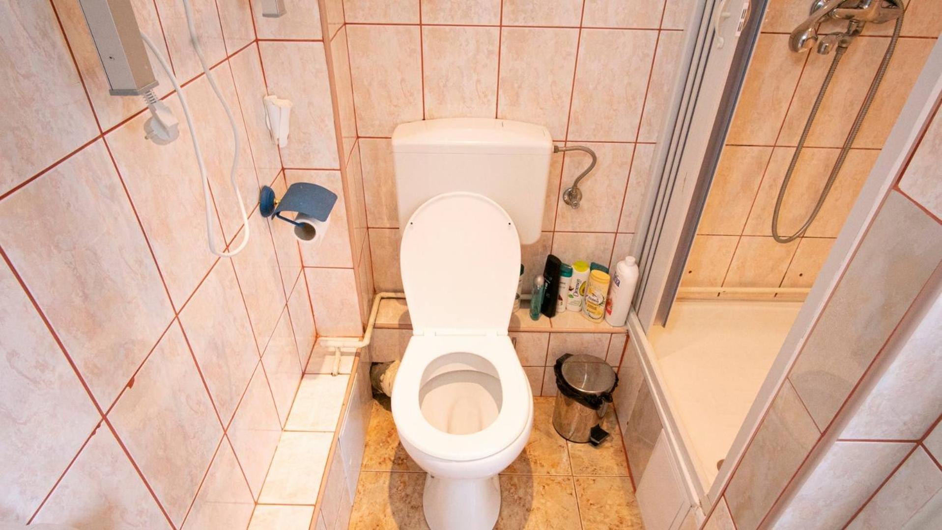 Piata Victoriei- 1 Room Apartment Timişoara Eksteriør billede